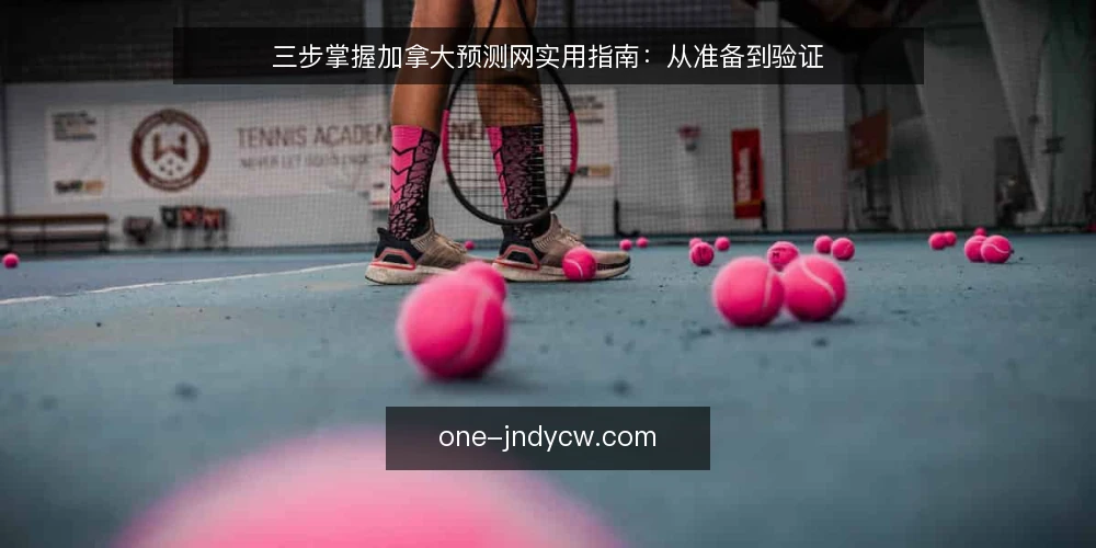 三步掌握加拿大预测网实用指南：从准备到验证 — 第一步：明确你的参考需求 配图