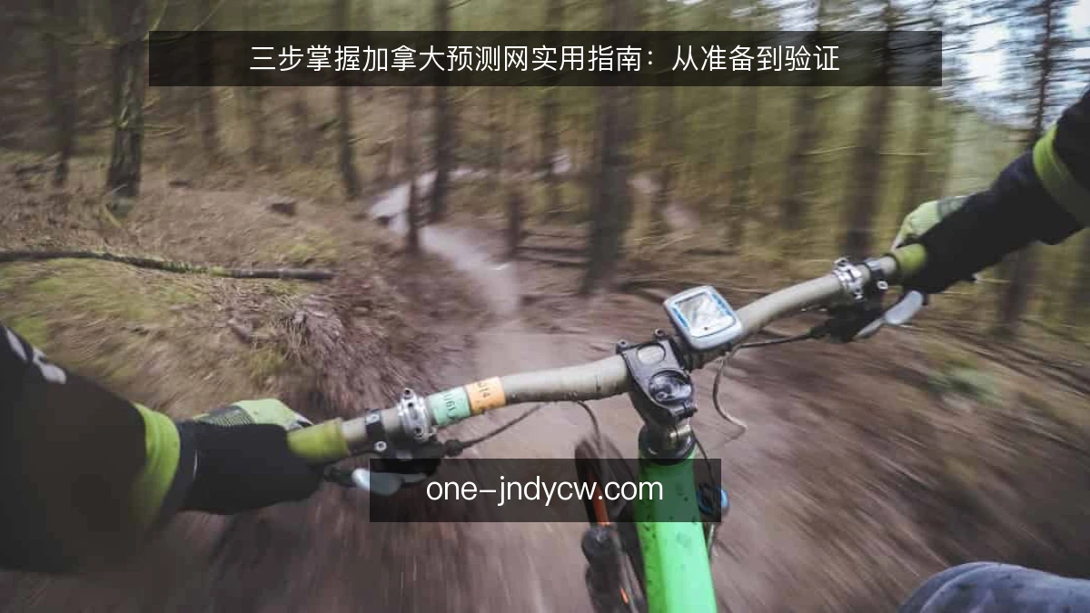 三步掌握加拿大预测网实用指南:从准备到验证