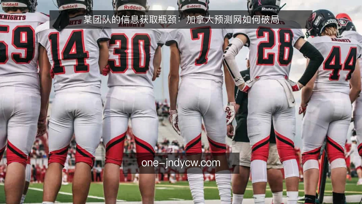 某团队的信息获取瓶颈:加拿大预测网如何破局
