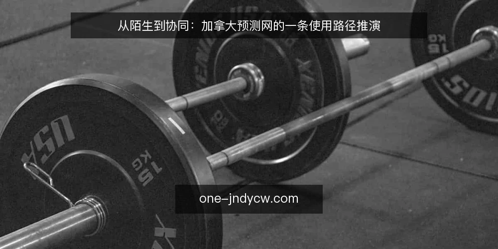 从陌生到协同：加拿大预测网的一条使用路径推演 — 场景起点：第一次接触加拿大预测网 配图