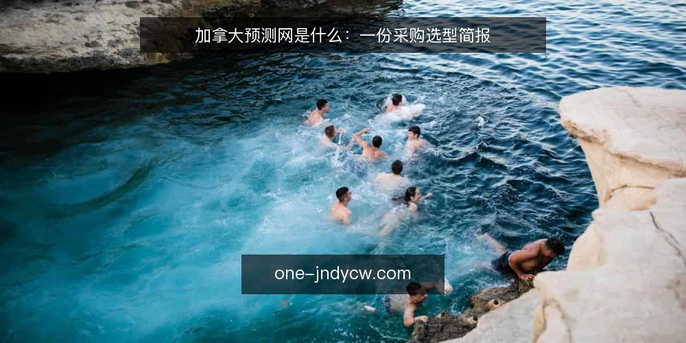 加拿大预测网是什么：一份采购选型简报 — 需求定义：你到底要解决什么 配图