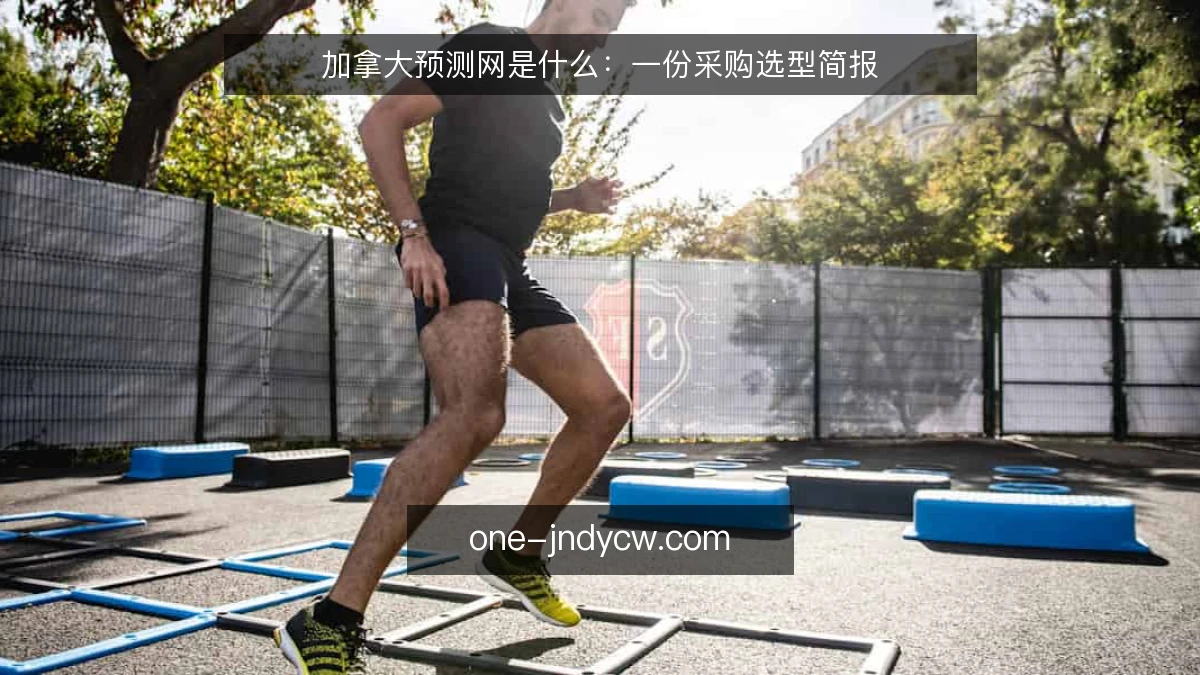 加拿大预测网是什么：一份采购选型简报