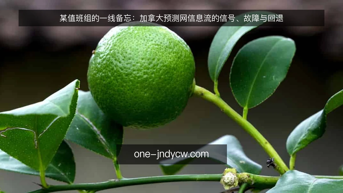 某值班组的一线备忘：加拿大预测网信息流的信号、故障与回退