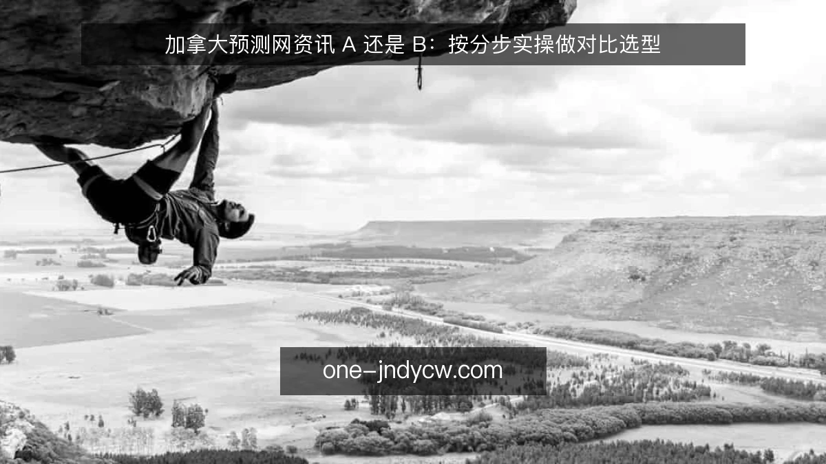 加拿大预测网资讯 A 还是 B:按分步实操做对比选型